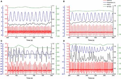 Bidirectional Cardio-Respiratory Interactions in Heart Failure